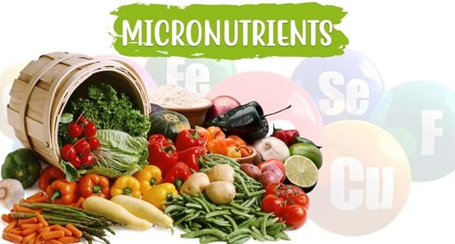micronutrients-why-are-they-important